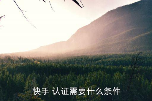  快手 认证需要什么条件