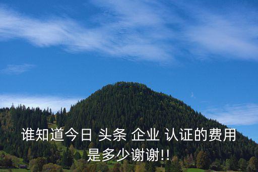 谁知道今日 头条 企业 认证的费用是多少谢谢!!