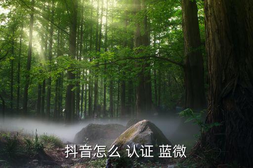 企业蓝微认证如何办理,企业微信蓝v认证怎么开通