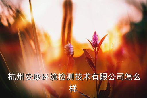 杭州安康环境检测技术有限公司怎么样