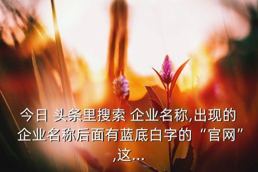 头条企业认证有哪些,今日头条企业认证需要什么资料