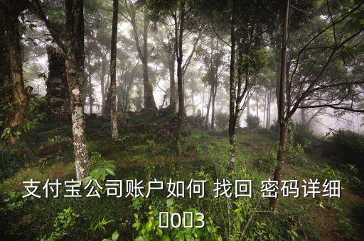 支付宝公司账户如何 找回 密码详细�0�3
