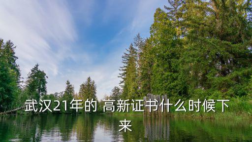  武汉21年的 高新证书什么时候下来