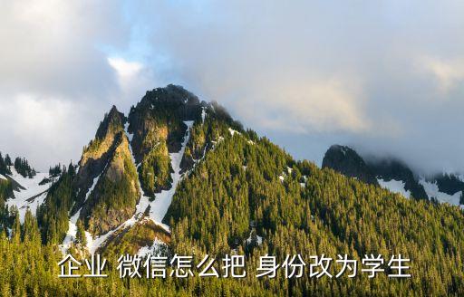  企业 微信怎么把 身份改为学生