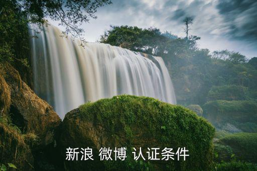 个人能认证企业微博,微博企业认证说明写什么