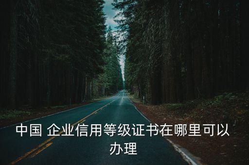 中国 企业信用等级证书在哪里可以 办理