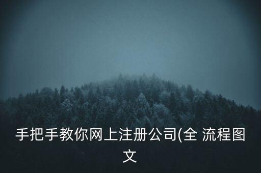 手把手教你网上注册公司(全 流程图文