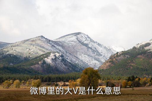 企业大v认证300,58同城企业认证