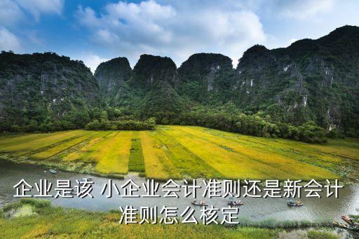 企业是该 小企业会计准则还是新会计准则怎么核定
