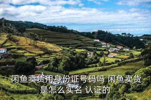  闲鱼卖货用身份证号码吗 闲鱼卖货是怎么实名 认证的