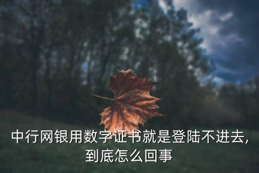 中行网银用数字证书就是登陆不进去,到底怎么回事