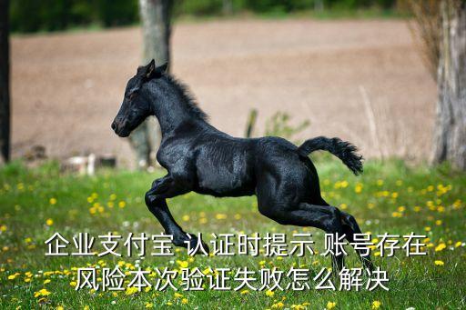  企业支付宝 认证时提示 账号存在风险本次验证失败怎么解决