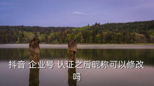 抖音 企业号 认证之后昵称可以修改吗