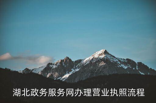  湖北政务服务网办理营业执照流程