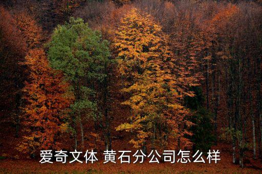 爱奇文体 黄石分公司怎么样