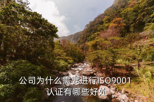 测量体系认证企业的好处,iso体系认证对企业有什么好处
