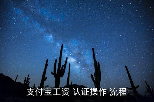 支付宝工资 认证操作 流程