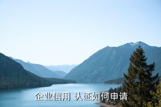 蚌埠企业认证办理流程,企业ISO9001认证办理流程