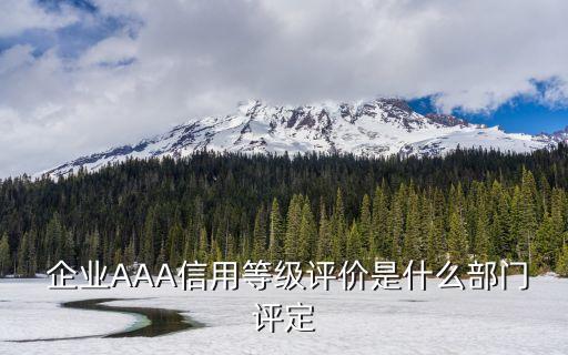  企业AAA信用等级评价是什么部门评定