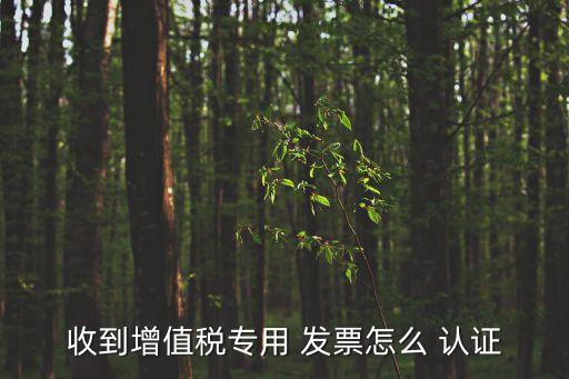 收到增值税专用 发票怎么 认证