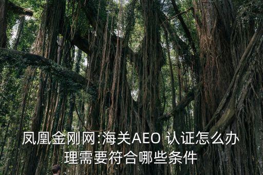 凤凰金刚网:海关AEO 认证怎么办理需要符合哪些条件