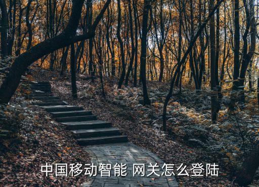 中国移动智能 网关怎么登陆
