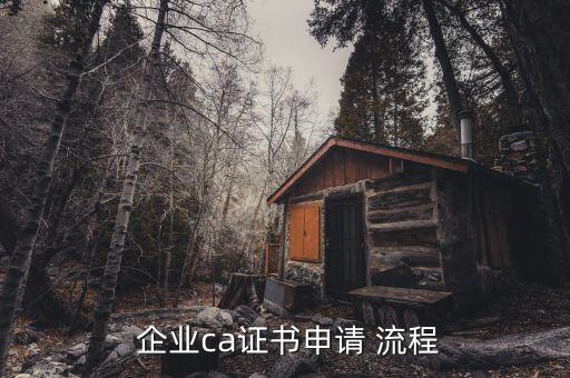  企业ca证书申请 流程