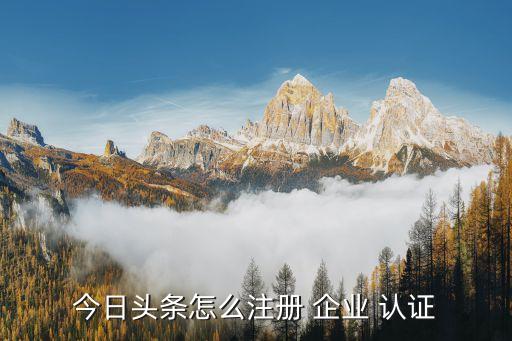 今日头条怎么注册 企业 认证