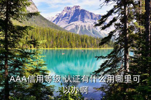 AAA信用等级 认证有什么用哪里可以办啊