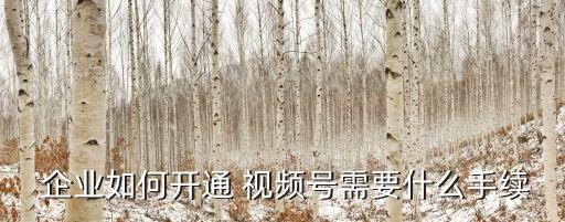  企业如何开通 视频号需要什么手续