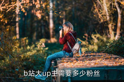 b站大up主需要多少粉丝