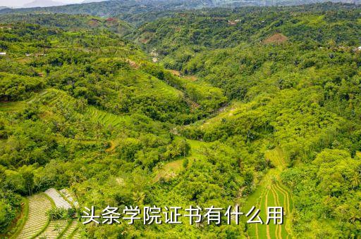 学校头条企业认证,今日头条企业认证需要什么资料